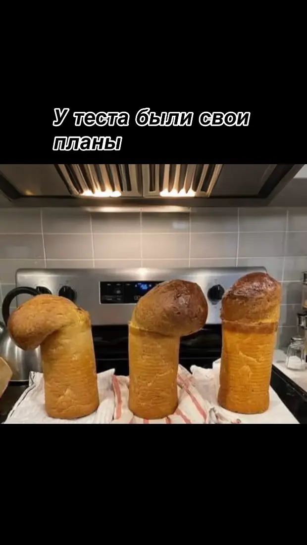 #юмор