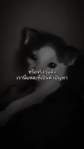 #ฟีดดดシ #tiktok #ซึมเศร้า #เหนื่อย #เปิดการมองเห็น 
