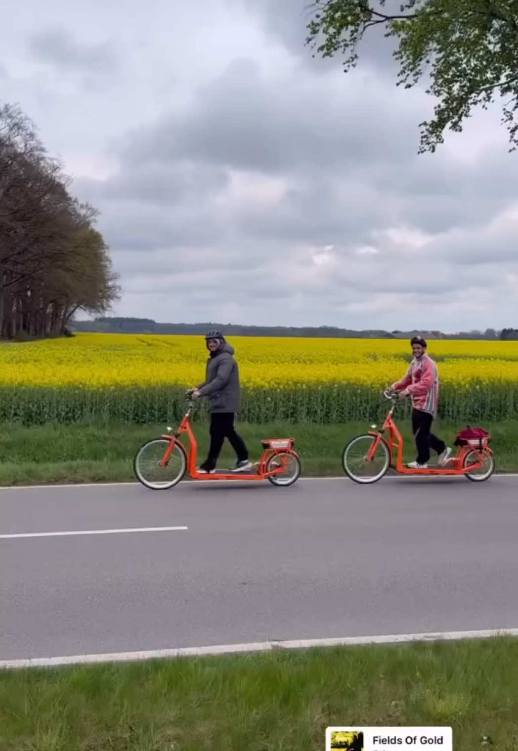 Wir fahren an einem Rappsfeld vorbei 🌻 #rapps 