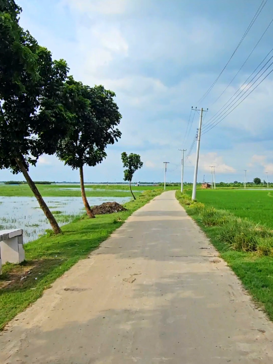 মেঘের বিদ্যুৎ মেঘে যেমন.... লুকালে না পায় অন্বেষণ....  #ramdasbil #প্রকৃতি #sky #tree #fyp #fypシ #fypジ #unfrezzmyaccount #tiktok #shorts #song #weather #views #reels #nature #natural #scenery #foryou #trending #viral #viralvideo #sunset #akash #2025 #bholahat #chapainawabganj 