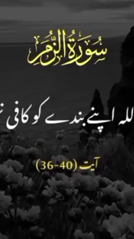 #🕋🕋🕋🕋🕌🕌 #🕋🕋🕋🕋🕌🕌 