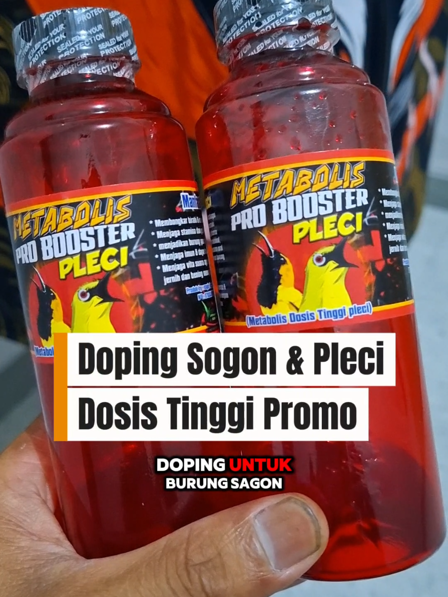 Doping pleci sogon & racikan nektar metabolis pro booster pleci dosis tinggi rekomendasi #metabolisproboosterpleci #metabolisprobooster #metabolisdosistinggipleci #sogon #pleci #kolibri #vitaminburung #kicaumania #kicauburung #hobiburung 