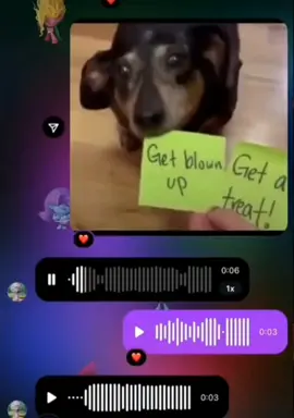 DONT PICK THAT ONE NOOO🤣🤣#funnytiktok #memestiktok #meme #dog #voice #voicenote #memecut #fyp #viral#viralvideos #funny#laugh 