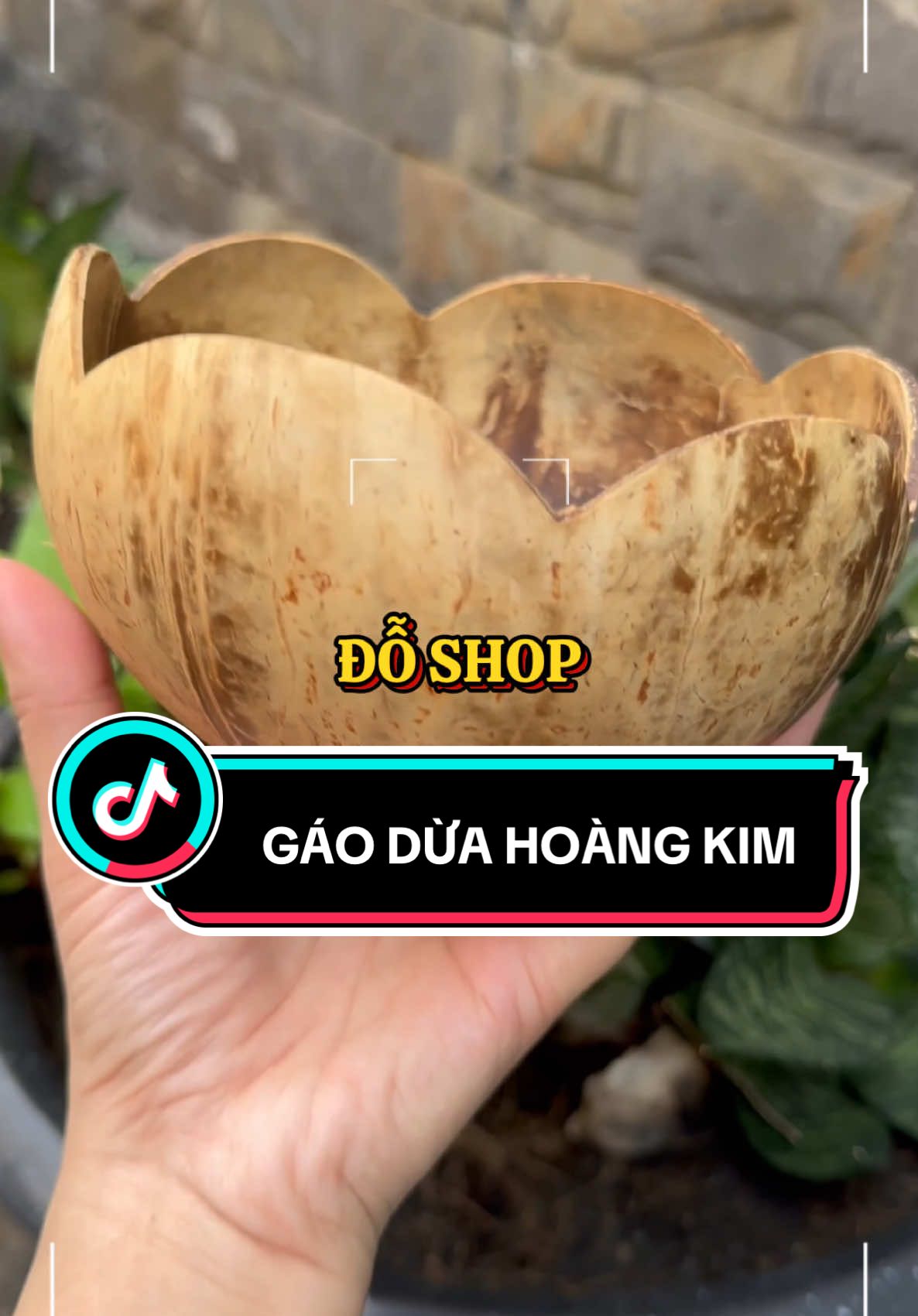 Bát chén gáo dừa ăn ngũ cốc hoặc trộn bột ủ trắng #gaodua #chengaodua #batgaodua #gaoduamynghe #gaoduabentre🥥 #batgaoduamuonggo #doshop 