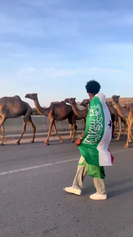 The best vedio for ever✊#tiktok #somalilandtiktok💚🤍❤ 
