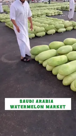 Saudi Arabia Watermelon Market 🍉 #watermelon #fruit #watermelons #market #saudiarabia🇸🇦 #export #exporters #vegetables #sheti #kheti #kissan #shetkari #business #explore #entrepreneur #dubai🇦🇪