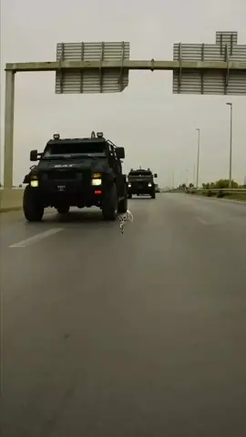 B.A.T🦅🇹🇳 #tunisia🇹🇳 #🇹🇳 #specialforces #fyp #tunisianspecialforces #usgn #BAT #الجيش_التونسي #fypシ 