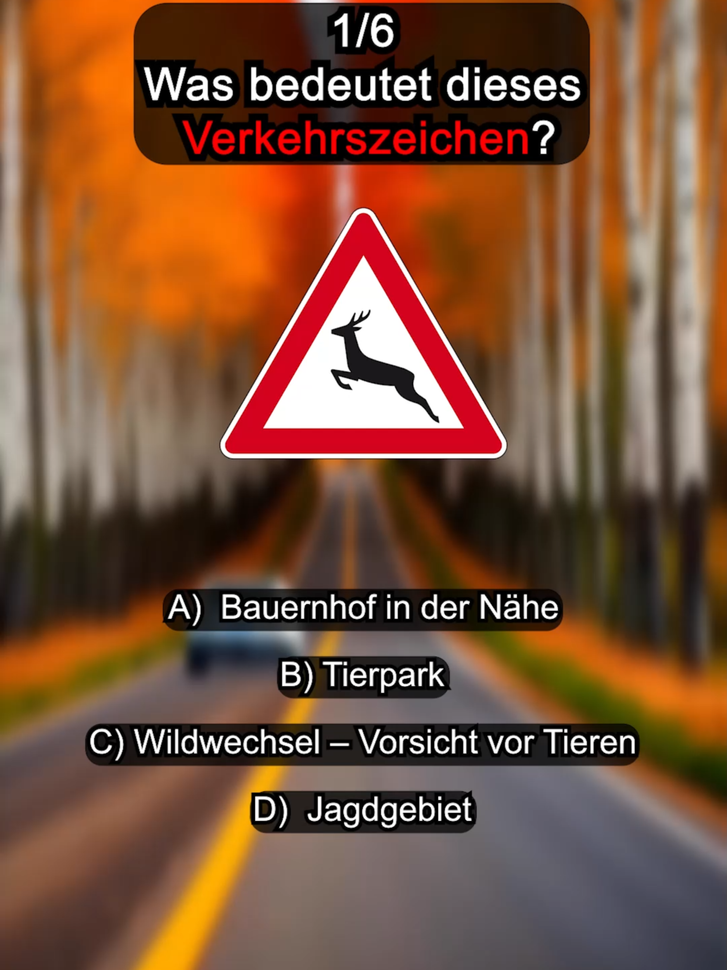 Diese Fragen bringen fast alle zum Scheitern. Bist du klüger als der Durchschnitt? #führerschein #fahrschule #fahrguru #fürdich #Schilder #quiztime #quizchallenge #quiz #fyp #quizz #verkehr
