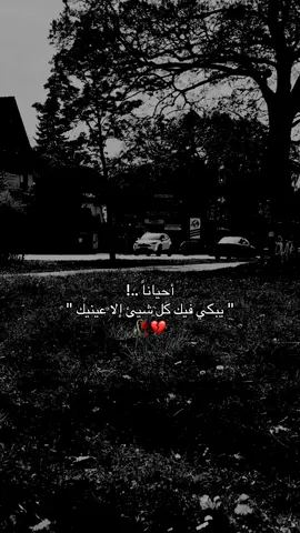 #اغاني_كردي_حزين🥀💔 #عبد_القاهر_زاخولي #لايك__explore___متابعة🧸🔥🤍 