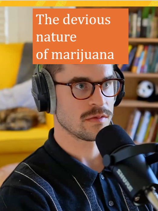 Why is marijuana so hard to quit, or identify its negative properties? It has to do with the timing of symptoms. @bad_art_every_day #marijuana #THC #psychiatry #substanceuse #cannabisusedisorder