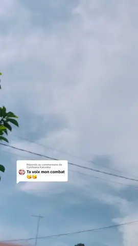 Réponse à @Cynthiana Kalombo @LA PANTHÈRE 🐆🇨🇩 @Plam's kedusal 