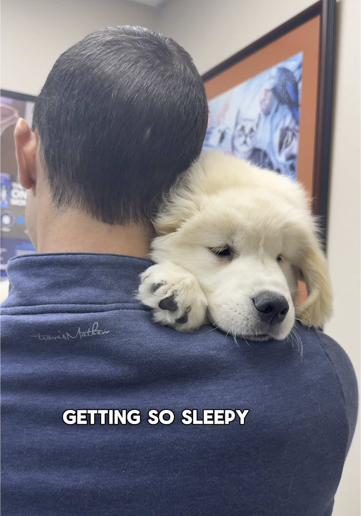 Such a brave boy 🥹 #dogsoftiktok #dogsoftiktokviral #goldenretriever #goldenpuppy #puppy #dogs #dog 
