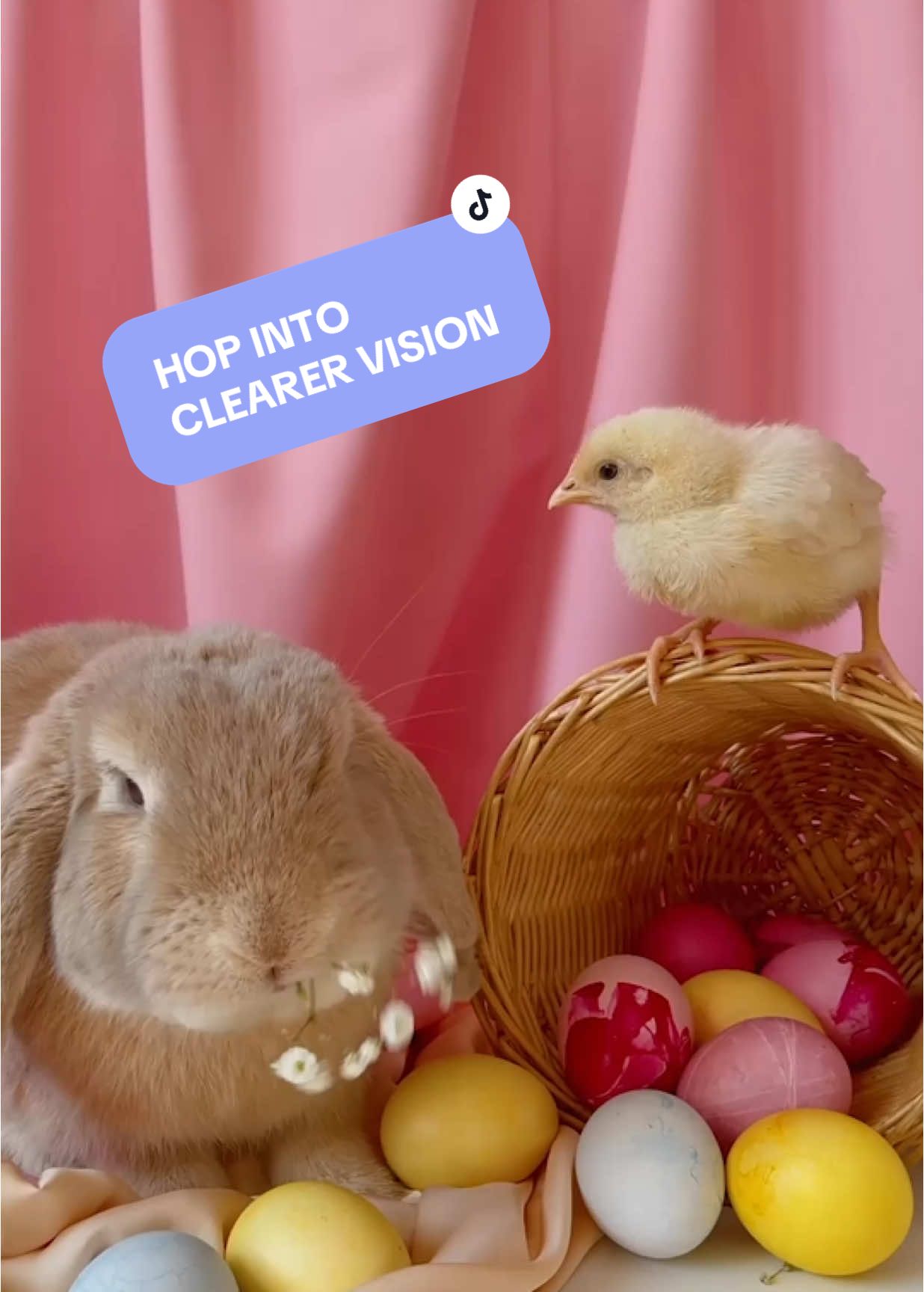 Hop into clearer vision! Check out our FDA approved technology for yourself. Book a free consultation today! #LASIK #LASIKDoctor #LASIKPLUS #LasikVisionInstitute #TLCLasik #TLCLaserEyeCenter #HowMuchIsLASIK #LASIKEyeSurgeryCost #LasikEyeSurgery #LASIKEye #LASIKEyeCosts #LASIKEyeCorrection #LASIKNearMe #LASIKEyeSurgeryNearMe #LASIKeye #PRK #LASIKvsPRK #VisionCorrection #Vision #Doctor #DoctorsofTikTok #EyeSurgery #EyeSurgeon #Eyes #Glasses #Contacts #Astigmatism #Patient #Journey #easter #easteregg #easterbunny