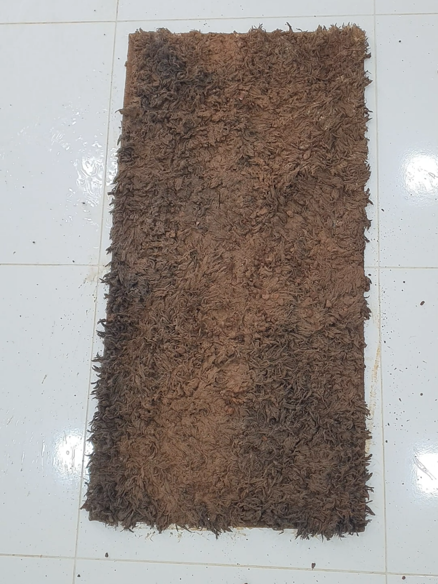 The best cleaning satisfying flooded carpet#asmrsound #asmrcleaning #satisfyingvideos #cleaning #asmr #cleaningservice #rugcleaning #carpetwashing #explore #asmrcleaningvideo #asmrcarpetcleaning #CLEANING