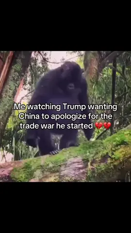 Why can’t he just stop for like 5 minutes like why he got to do so mush #foryoupage #foryou #fyp #f #news #foruyou #trump #2025 #china 