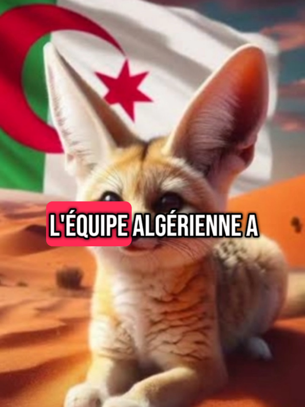 la fierté algérienne est incomparable a d'autres 5 éléments démontrent cette fierté sont situés dans cette vidéo instructive et éducative .. #fierte #amour #nostalgia 