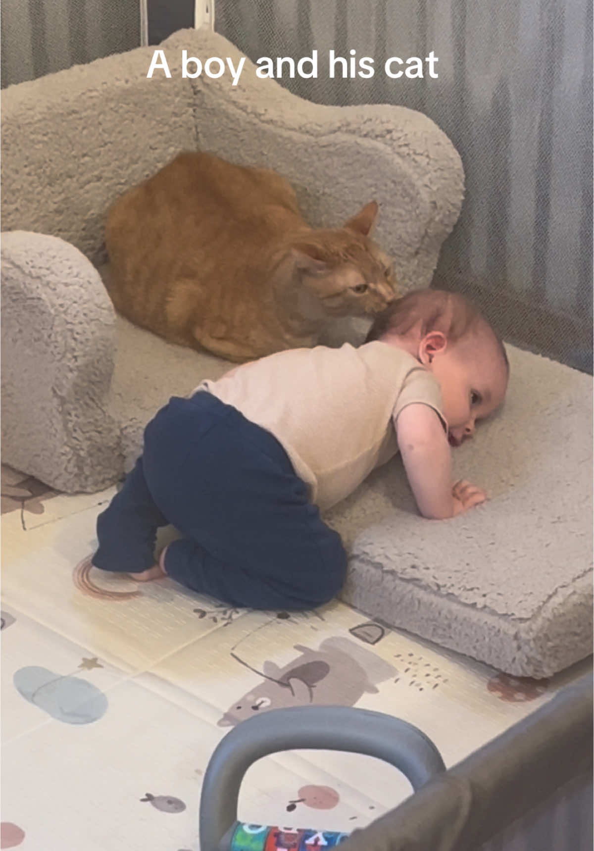 My baby loves his cat, what can I say? #baby #babytok #boy #1yearold #cat #catsoftiktok #corememories #family #childhood #cute #preciousmoments 