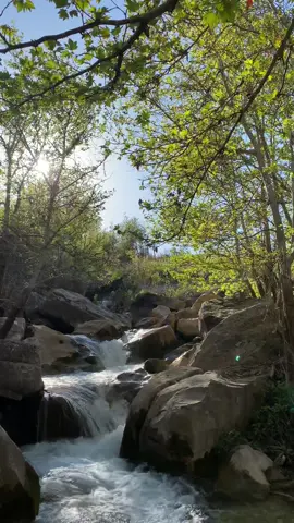#barwaribala #sroshtekurdistane #thebeautyofnature #fyp  #alixan #trwansh #duhok 