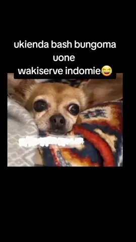 😂😂#kenyacomedy #kenyamemes #memestiktok #nairobian #relatable #kenyatiktok🇰🇪 #memelord #memesbr #fypppppppppppppp #fyp #formypage