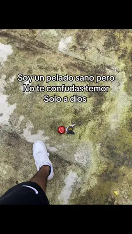 #frases #patiiiiiii #viralllllll #🇪🇨🔥 #sigueme_para_mas_videos_asi #calle 