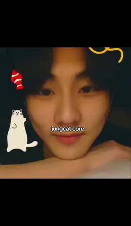 fofinho #jungwon #fyp #kpop #enhypen #coachella #foryoupage #enchella 