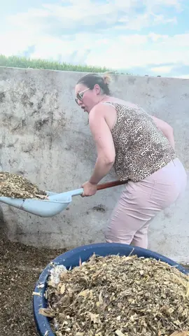 eu sou apenas uma garota tranquila 