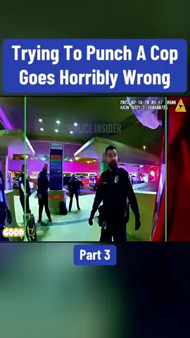 Trying To Punch A Cop Goes Horribly Wrong Part 3 #cops #copsoftiktok #police #policeofficer #bodycam #crime #truecrime #truestory #foryou #fyp