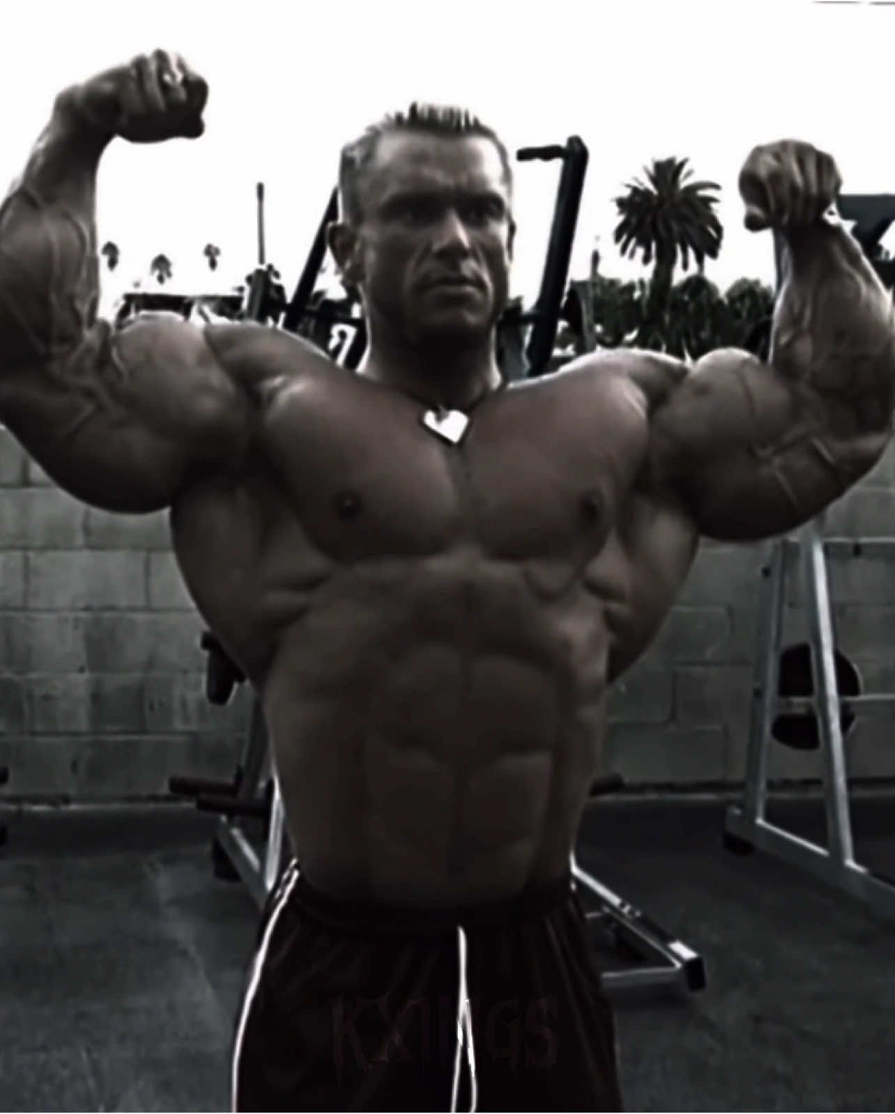 the giant killer “Lee priest” || #Gym #gymedit #leepriest #fyp 