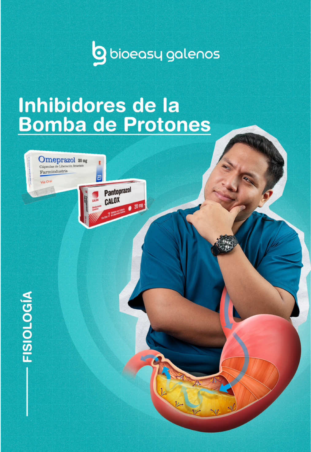 💊🔍𝗖𝗢𝗡𝗢𝗖𝗘 𝗔 𝗟𝗢𝗦 𝗜𝗡𝗛𝗜𝗕𝗜𝗗𝗢𝗥𝗘𝗦 𝗗𝗘 𝗟𝗔 𝗕𝗢𝗠𝗕𝗔 𝗗𝗘 𝗣𝗥𝗢𝗧𝗢𝗡𝗘𝗦 👈🏻 #medicina #cienciasmedicas #bioeasy #academia #universidad  #saludgastrica