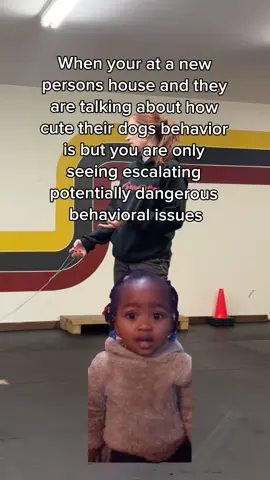 SO STRESSFUL once you know the truth behind dog body language and behavior.. red flags everywhereeeeee #DogTraining 