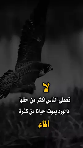 #تصميم_فيديوهات🎶🎤🎬 #قتباسات_عبارات_خواطر #خواطر_للعقول_الراقية #عبراتكم_الفخمه📿📌 
