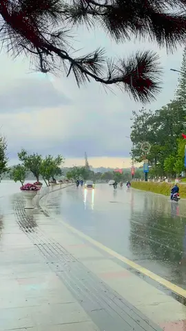 Đà Lạt ngày thành phố mưa bay .#thinhhanh #xuhuong #dalat #trending 
