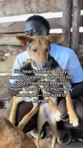 I really don't even know how to begin, because things on this side are very, very hard right now. The situation has gotten worse, and I'm just struggling each day to collect leftovers-anything I can find. But it's never enough... it's too little for them. They cry so much-day and night— because of hunger. It breaks my heart every single time, and there's nothing more painful than seeing them suffer like this. I feel so helpless. Sometimes I have to walk away just so they don't see me crying too. I don't even have the strength to pretend anymore. I am truly depressed, friends I don't know what to do. I feel like I'm failing them. Please, if there's anything you can do... anything at all, I'm begging you-help us. Even just a little could change everything right now. Thank you for always caring, and for being the light in our darkest days. I'm praying for strength, and I'm praying that you hear this.#animallover #animalsoftiktok @maddie 🫧 