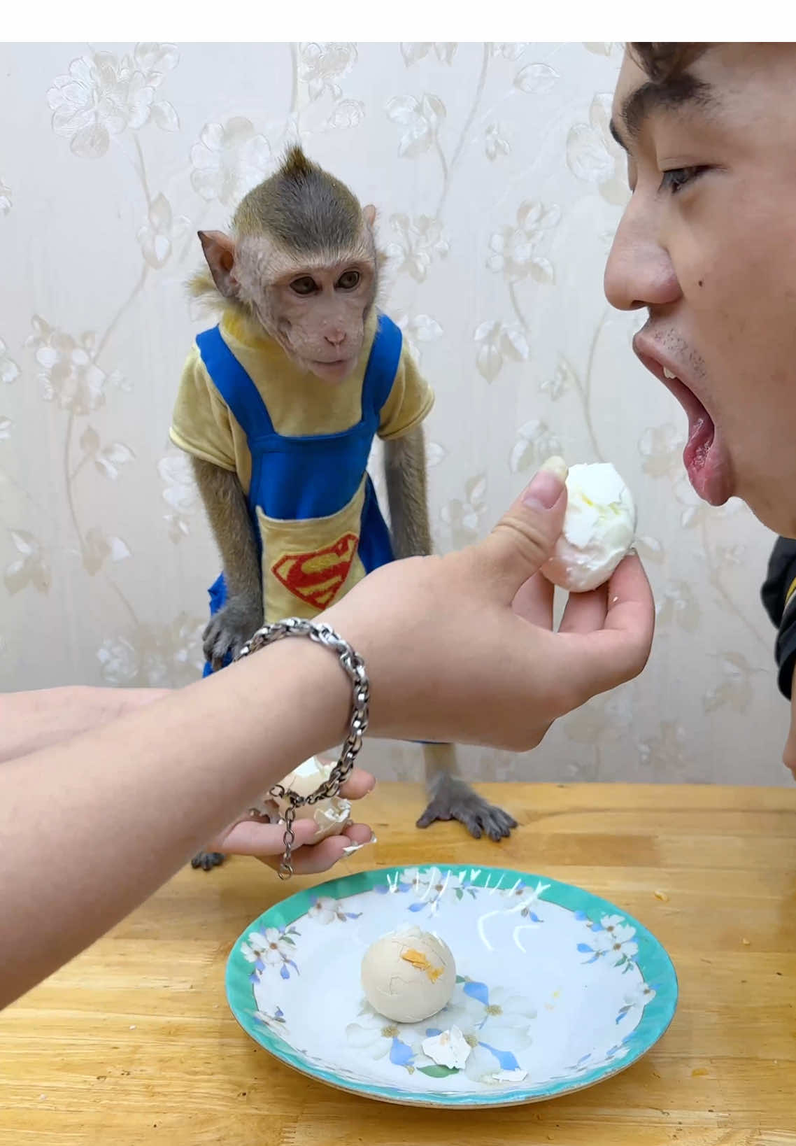 smash eggs on Nana the monkey's head and don't feed her,the scolding is🐒🥚🙉😂#viraltiktok #fyp #animals #shortsvideo #monkey 