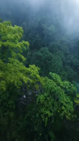 Thác Khủng Long, Tà Xùa #tàxùa #thackhunglong #taxua #canhdep #spacefpv #xuhuong 
