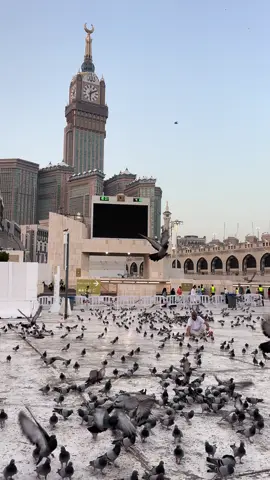 الحرم الان  ♥️ #الكعبه_المشرفه🕋 #الحرم_المكي #مكة_المكرمة #اكسبلورexplore❥🕊 #الان #الحرمين_الشريفين #اكسبلور #مكه_المكرمه #الحرم #صباحكم_سعادهـ🌸🍃 #صباح_البشارات_الجميلة #صباح_الخير