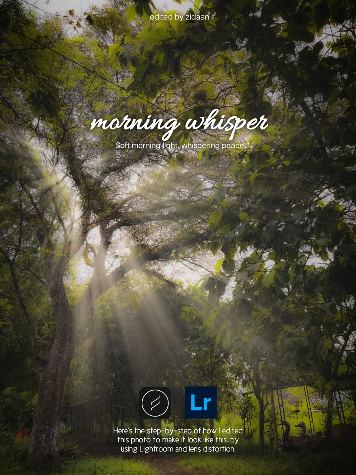 Here’s the step-by-step of how I edited this photo to make it look like morning whisper. its looks cool broo, You’ll regret it if you don’t try it. #lightroom #fypage #fyp #lensdistortions #lightroomedit 