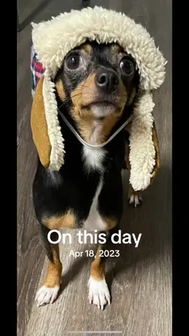 #onthisday 