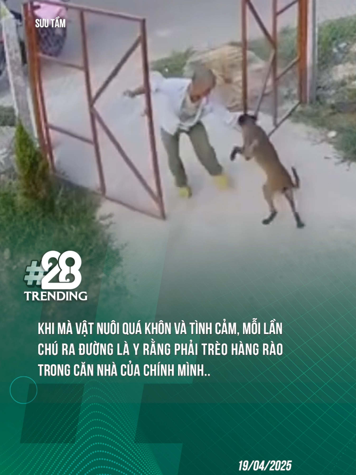 TÌNH CẢM QUÁ CŨNG KHỔ =)) #theanh28 #theanh28trending #tiktoknews #tiktokgiaitri