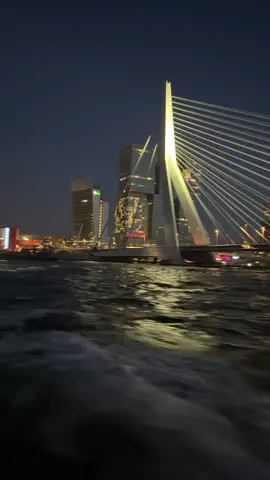 #rotterdam #netherlands #watertaxi #rotterdamcentrum #fyp #netherland #onizuka @gent.06 