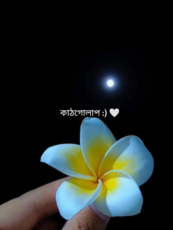 Kathgolaap :) 🤍 #fyppppppppppppppppppppppp #unfreezemyacount #foryouplease #foryou #viral #treandingvideo #growthmyaccount #trendy #fyp #foryoupage 