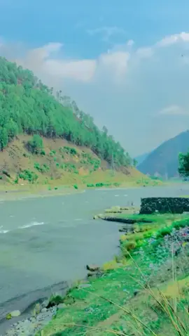 #🥰🌹🥰🌹🥰🌹🥰🌹🥰🌹🥰🌹🥰🌹🥰🌹🥰🌹🥰🌹🥰 