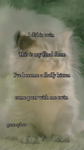 kamiakiakiakiakiakik oamaiakamaia iamaiamakamaja akamkamaa akakalakakakakana anakakaka#gurt #yo #sybau #foryouu #cutekittens #kitten #pmo #viral_video #plsdontflop #jozef_joegwiazda #jozef_joegwiazda 