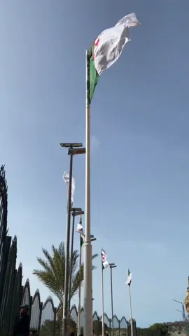 #الحدود_الجزائرية_المغربية #المغرب🇲🇦 #الجزائر🇩🇿 #مرسى_بن_المهيدي #بورساي #سعيدية #fyp #tik_tok #fouryou #algerie🇩🇿 #الشعب_الصيني_ماله_حل😂😂 