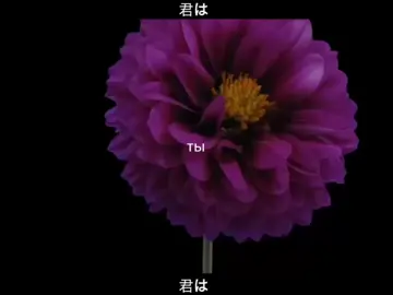 мне не нравится. перевод мб не правильный….. 9lana - promose. #lyrics #song #edit #9lana #jpop