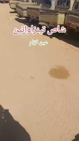 تمنرست جانت وارقلة الواد سوف اليبيا النيجر صحراء أزواد شاص طويوطا✌️✌️