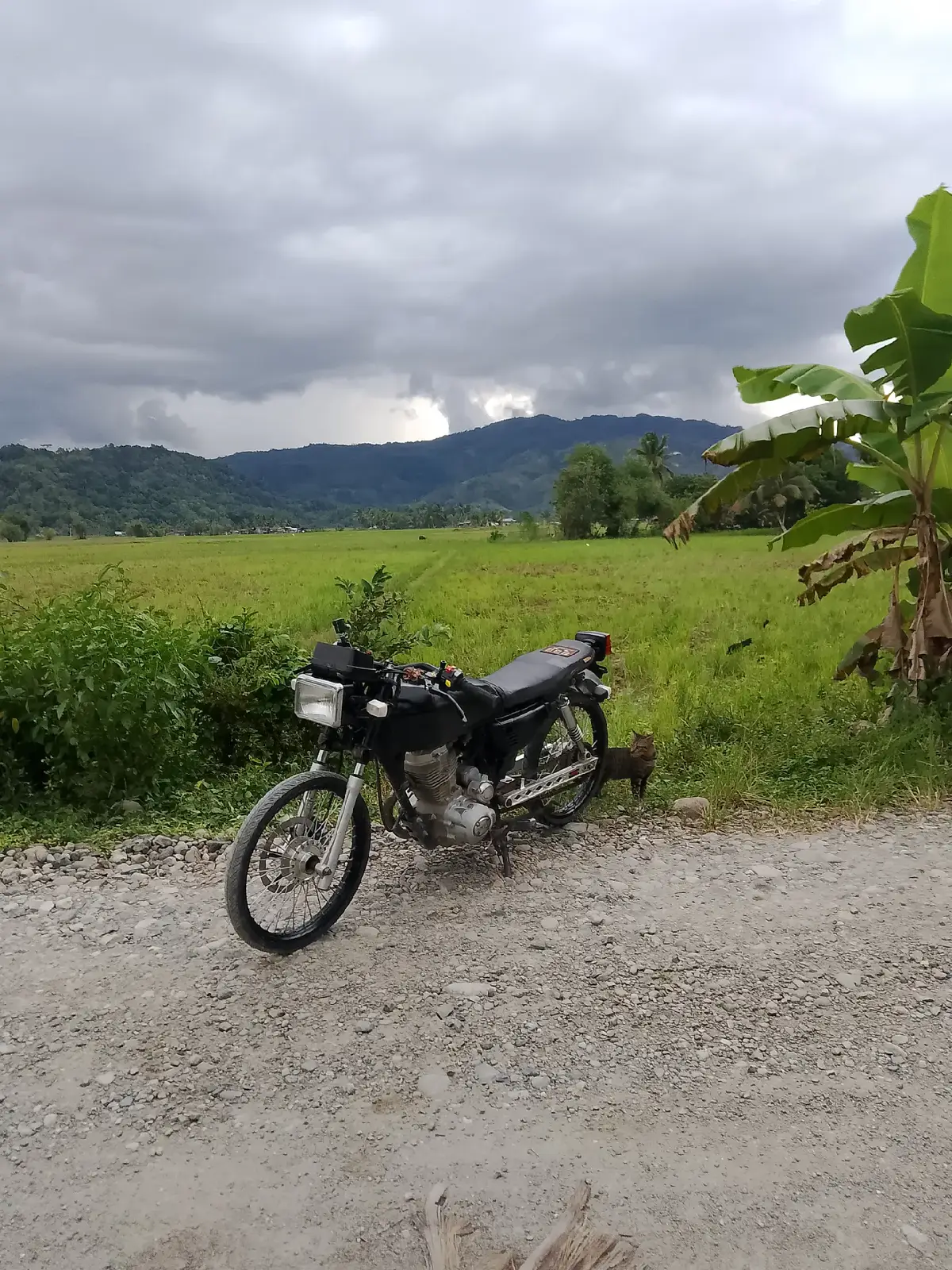 Canister nlng kulang🤪