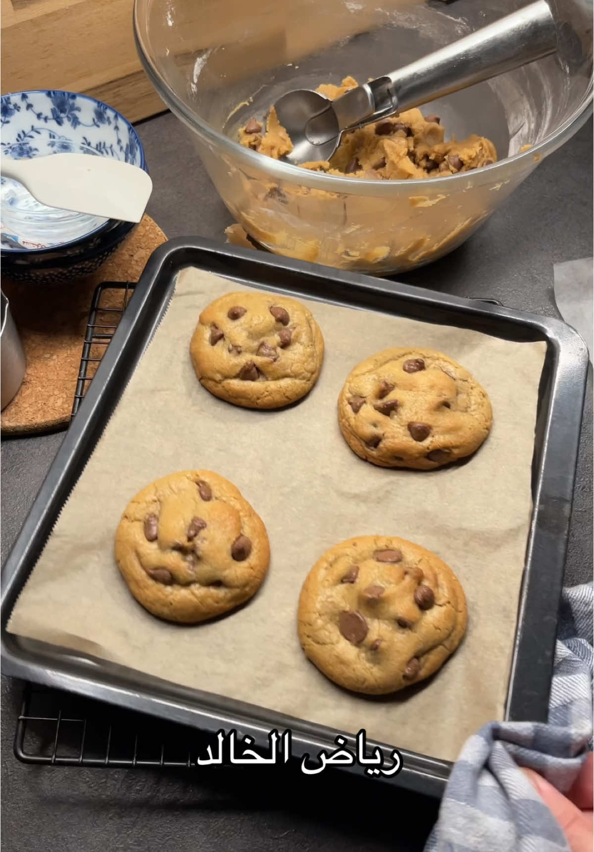 كوكيز فريندز او كوكيز جدة فيبي او كوكيز نيستليه تووولووزااه✨🍪 #كوكيز #رياض_الخالد #فريندز 