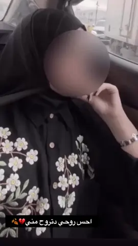 #مشاهير_تيك_توك 
