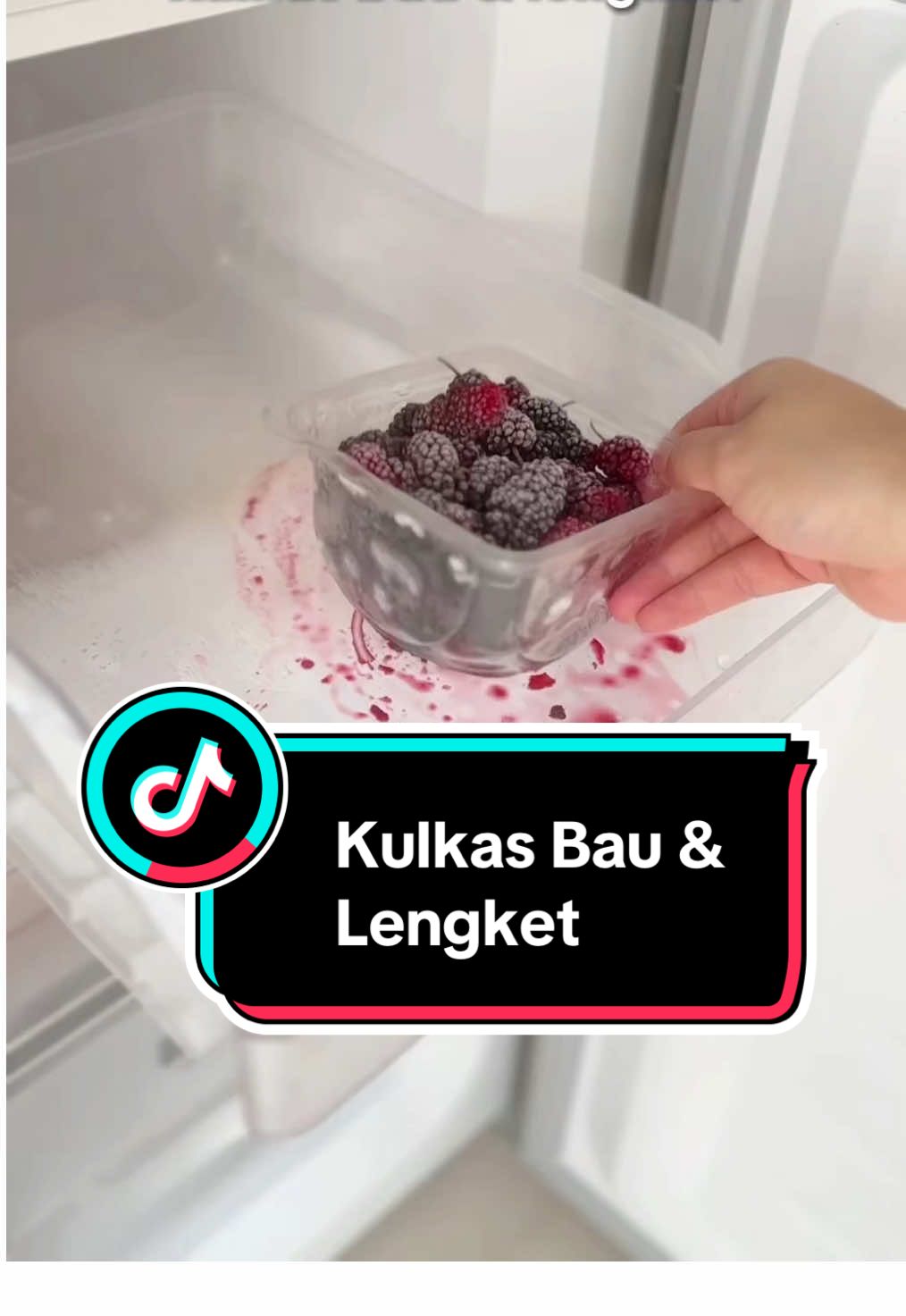 Ngga perlu khawatir dan ambil pusing kalau kulkas bau dan lengket, kan udah ada Polki Pembersih Kulkas 🫶🏻🫶🏻 #kulkaskotor #pembersihkulkas #kulkasbersih #polkipembersihkulkas 
